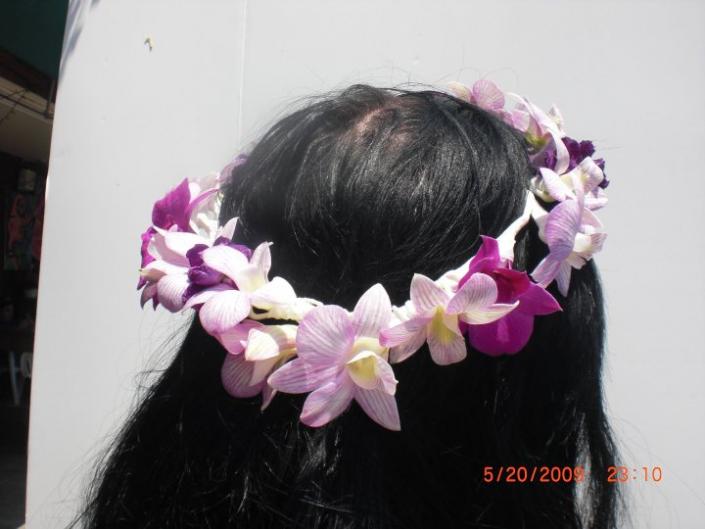 Orchids Halo