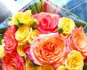 Colorful Rose Bouquet with Leaves