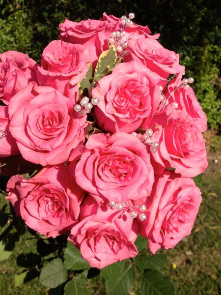 Pink Roses, White pearls